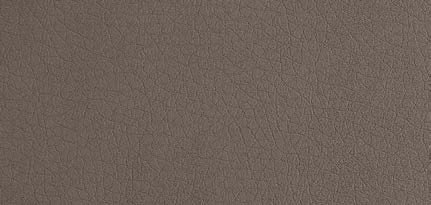 LL Charcoal Light