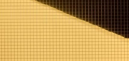 MS 10x10 flex Gold