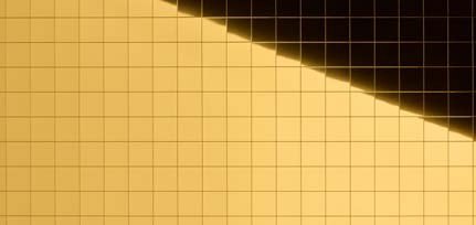 MS 20x20 flex Gold