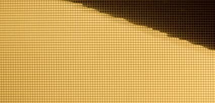 MS 5x5 flex Gold