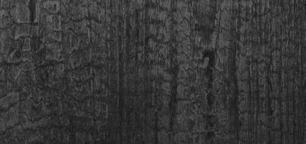 WL Carbonized Wood Nature
