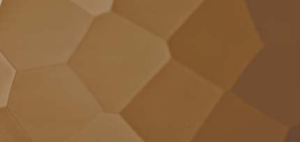 SL FACET Red Brown AR